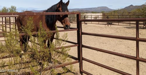 38301 15th Ave, Phoenix AZ 85041-4712 exterior