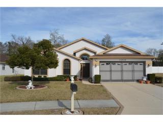 13522 Bryndlewood Ct, Port Richey, FL 34669-0810