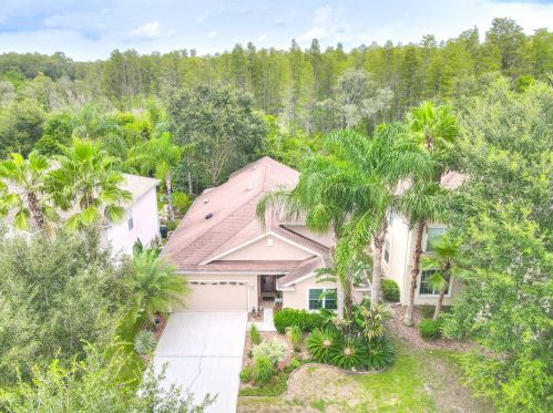 15421 Pepper Pine Ct, Land O Lakes, FL 34638-6881