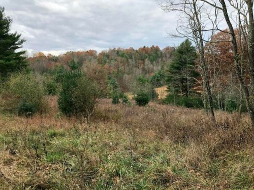 2024 Hill Country Rd, Minnehaha Springs WV  24954-7077 exterior