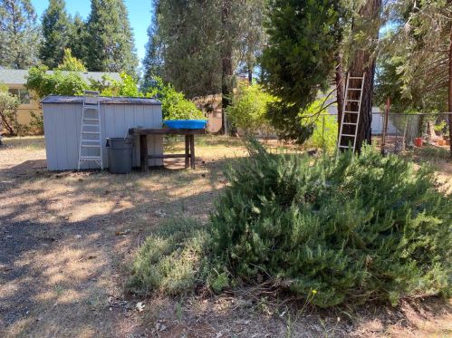 14159 Skyway, Nimshew CA  95954-9471 exterior