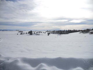1657 Highlands Rd, Lamont, ID 83420-7100
