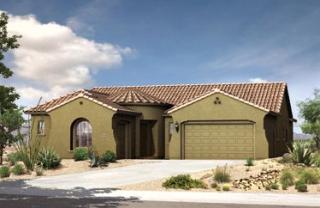 18182 Las Palmaritas Dr, Waddell, AZ 85355-7816