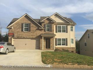 6406 Airtree Ln, Knoxville TN  37931-4171 exterior