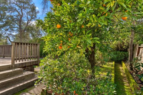 527 San Juan St, Santa Rosa CA  95409-2802 exterior