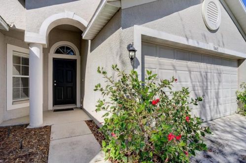 7443 Citrus Blossom Dr, Land O Lakes, FL 34637-7466