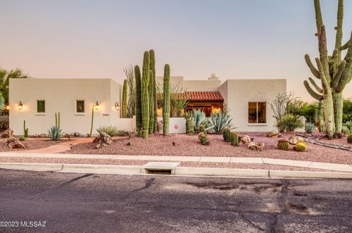 9960 Sabino Springs Pl, Tucson, AZ 85749-7102