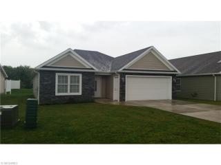 306 Woodland Way, New Lyme, OH 44047-8323
