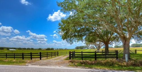 14427 Daly Rd, Brooksville, FL 34601-4361