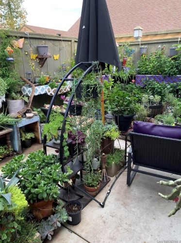 10513 Caminito Obra, San Diego CA 92126-2815 exterior