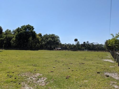 9445 180th Avenue Rd, Ocklawaha, FL 32179-3757