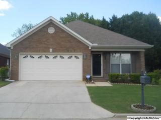 904 Tracey Ln, Decatur, AL 35601-7700