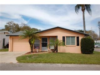 1022 Egret Ct, Dunedin, FL 34698-8238