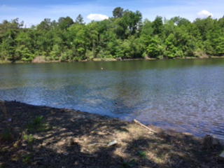 1090 Old Tory Trl, Aiken, SC 29801-7636