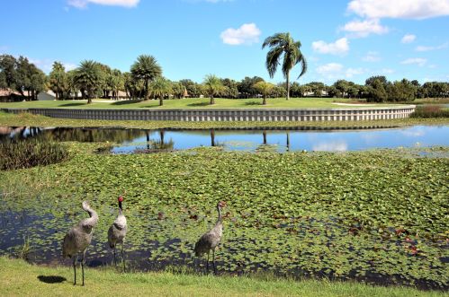 1271 Continental Ave, Melbourne FL 32940-6701 exterior