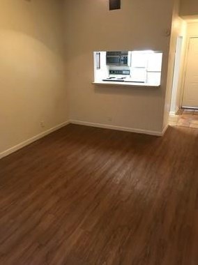 505 Bellevue Pl, Austin TX 78705-3141 exterior