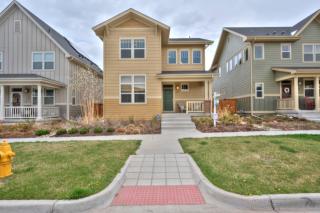 4980 Uinta St, Denver CO  80238-3274 exterior