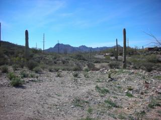 3700 Speedway Blvd, Tucson, AZ 85716-4020
