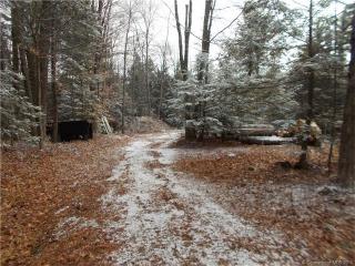 47 Fritz Rd, Colbrook, CT 06021-1109