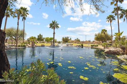 17705 Woodrose Ave, Sun City, AZ 85374-4465