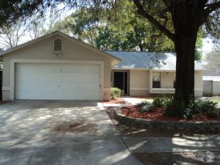 1303 Country Elm Ct, Lutz FL  33549-5606 exterior