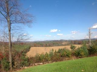4147 Webbs Mill Rd, Riner, VA 24149-3714