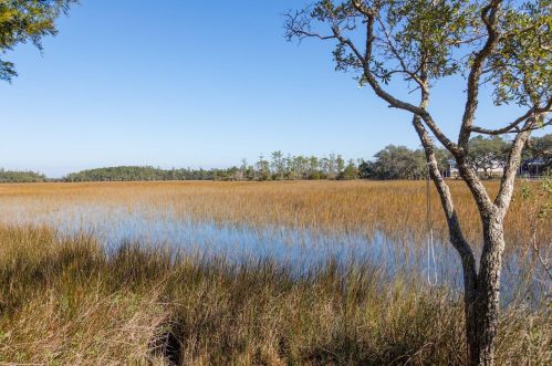 290 River Oak Dr, Mount Pleasant, SC 29464-8292