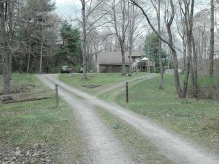 55 Seven Acres Rd, Millport, NY 14864-9502