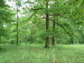 7925 Ridgewood Rd, Goodlettsville, TN 37072-9462