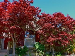 1954 Beltaine Ct, Vallejo, CA 94591-3860