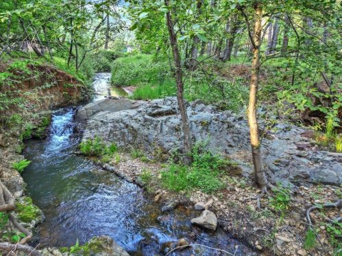 15729 Little Valley Rd, Grass Valley, CA 95949-6892