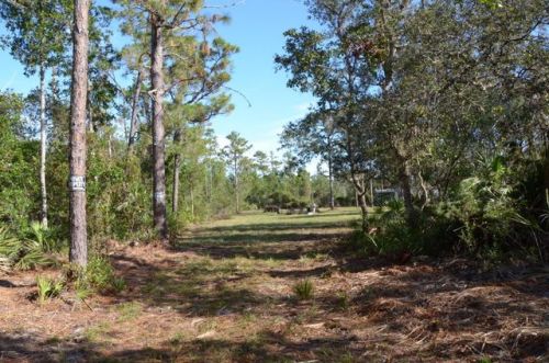 630 6th Ave, Osteen, FL 32764-8700