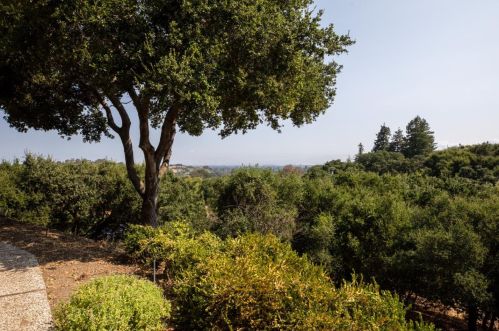 12250 Edgecliff Pl, Los Altos CA  94022-4559 exterior