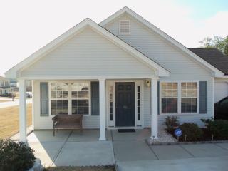 101 Verano Ct, Lexington SC  29073-6906 exterior