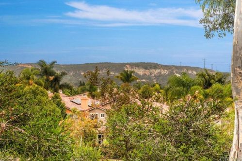 4529 Tarantella Ln, San Diego, CA 92130-2463