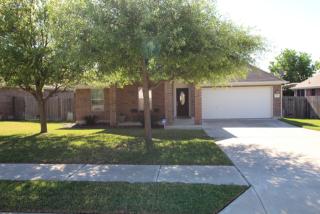 503 Stansted Manor Dr, Pflugerville TX  78660-8120 exterior