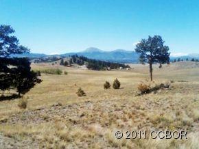 443 Saddle Horn Rd, Hartsel, CO 80449-8509