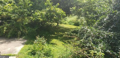171 Mount Eyre Rd, Washington Crossing, PA 18977-1610