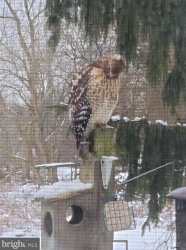 1139 Wilson Ave, Glen Mills PA  19342-9610 exterior