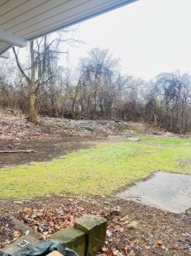 1113 Norwood St, Mckeesport PA  15133-3933 exterior