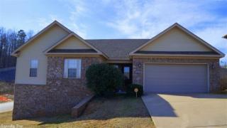 2001 Reagan Cv, Alexander, AR 72002-7314