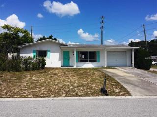 3504 Cheswick Dr, Tarpon Springs, FL 34691-1425