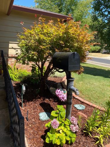 143 Market St, Folsom CA  95630-3105 exterior