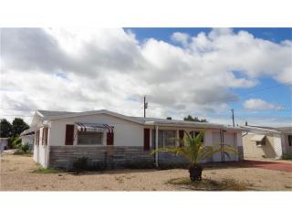 4802 Vision Ave, Tarpon Springs, FL 34690-5860