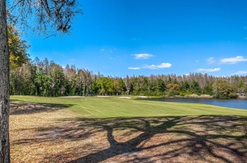 18604 Avenue Monaco, Lutz FL  33558-5316 exterior