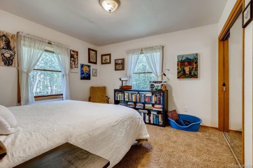 31674 Black Widow Way, Conifer CO  80433-9610 exterior