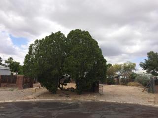 6351 Mango Way, Tucson, AZ 85741-2829