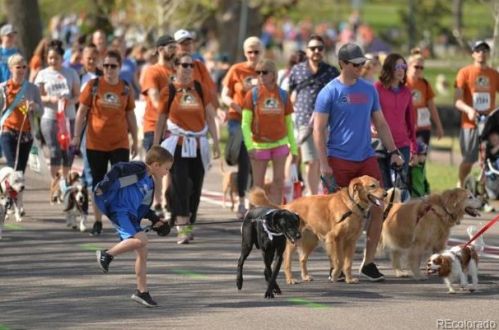 800 Franklin St, Denver CO 80205-3324 exterior