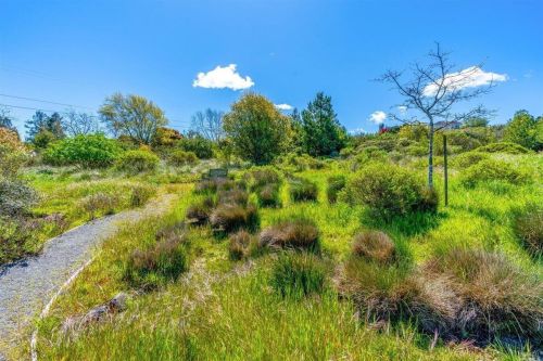 6301 Highland Pl, Sebastopol CA  95472-6100 exterior