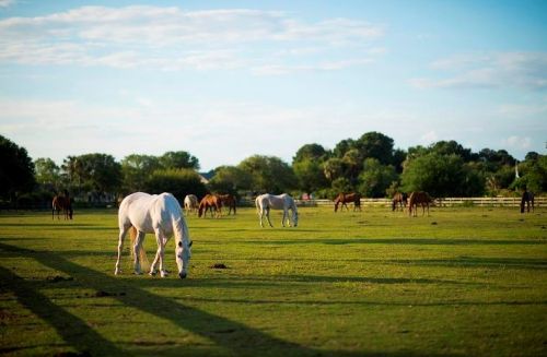 2064 Long Bend Dr, Johns Island SC  29455-6317 exterior